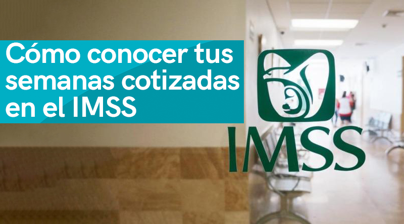 Cómo conocer tus semanas cotizadas en el IMSS